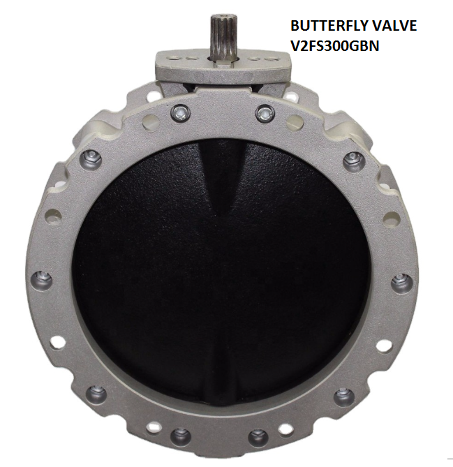 BUTTERFLY VALVE V2FS300GBN